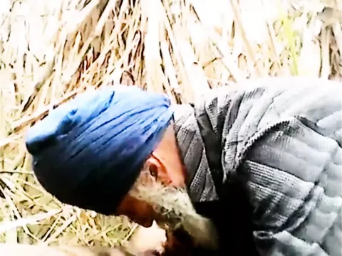 Elder Indian Grandfather with facial hair takes on a pretext cumbot no condom & gets a mouthhole of starch